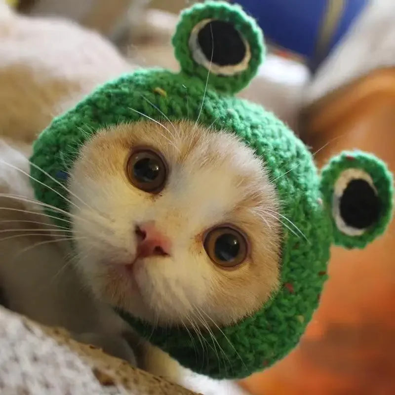 Cute Cat Hat Funny Pet Party Cosplay Knitted Headwear Accessories