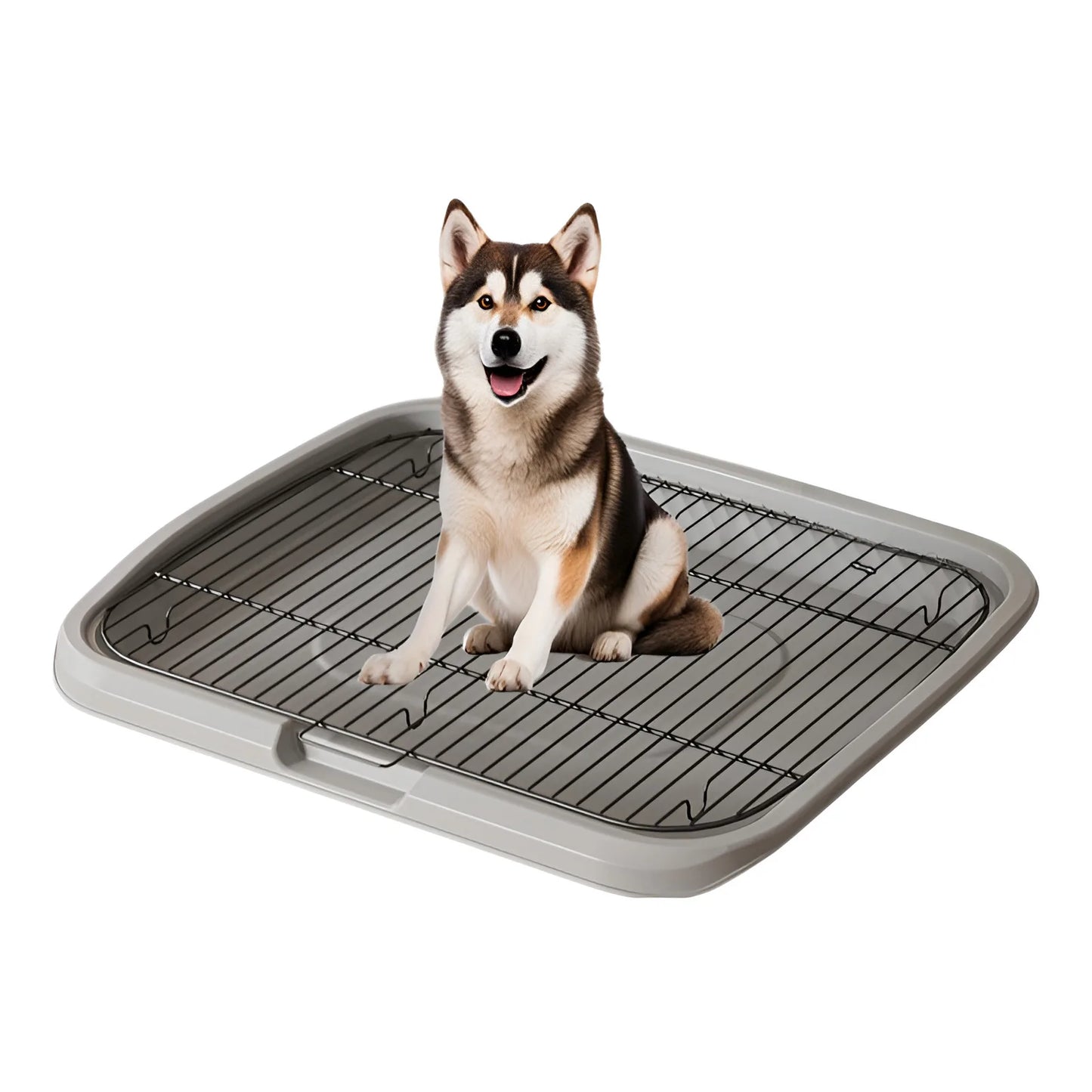 Large Dog Toilet Training Equipment - Stainless Steel Poop Collector
