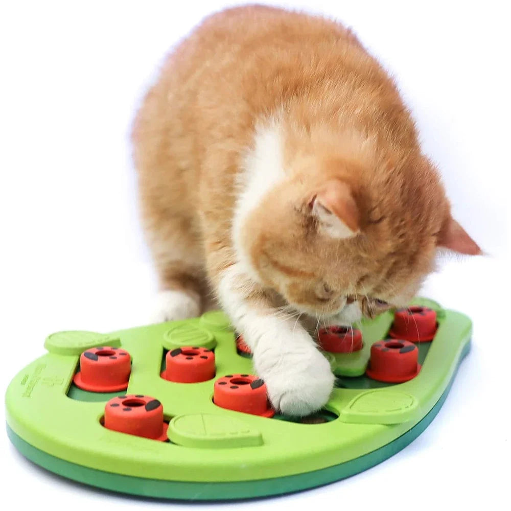 Interactive Cat Treat Puzzle Toy - Stimulating Food Dispenser