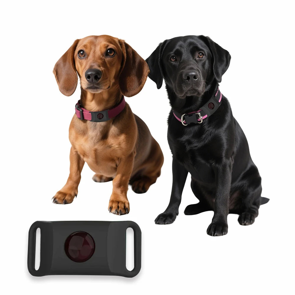 Natural Anti-Flea Tick Pendant For Dogs Cats Essential Oil Collar