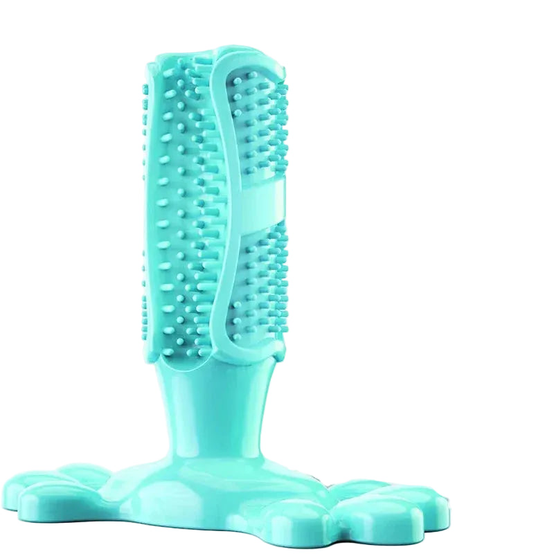 Pet Dog Cactus Interactive Rubber Chew Toy Toothbrush Treat Dispenser