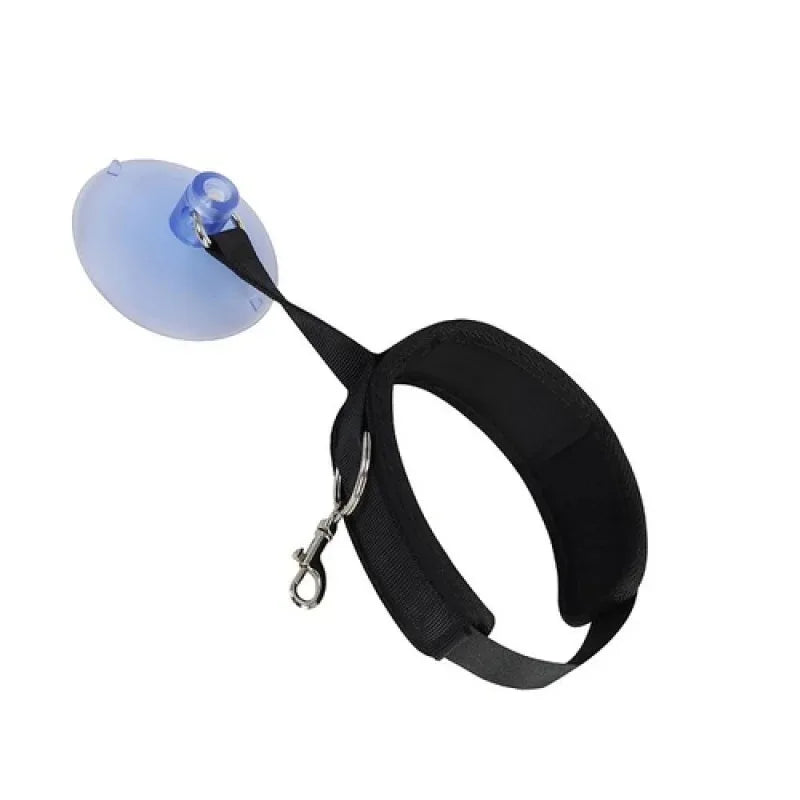 Pet Shower Collar - Fixed Bath Restraint for Small Cats and Dogs