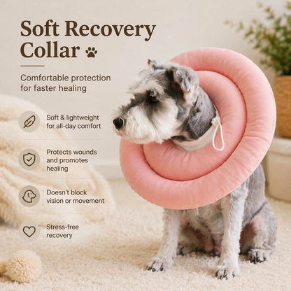 Pet Elizabethan Collar Protective Medical Cone For Dogs And Cats