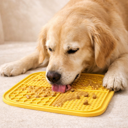 Pet Silicone Lick Mat For Dogs Cats Slow Feeding Training Plate