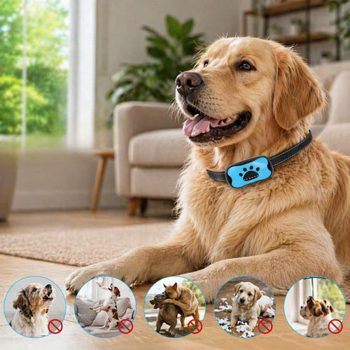 Pet Anti Barking Device USB Rechargeable Training Collar