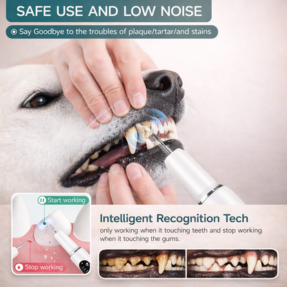 Ultrasonic Dog Tooth Cleaner With LED Light For Pet Dental Care