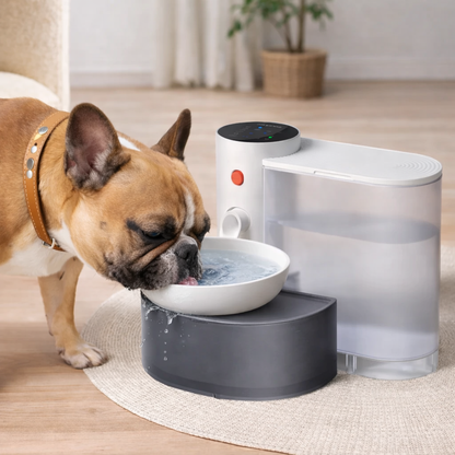 Smart Pet Water Fountain 3L Wireless Battery Operated Cat Fountain