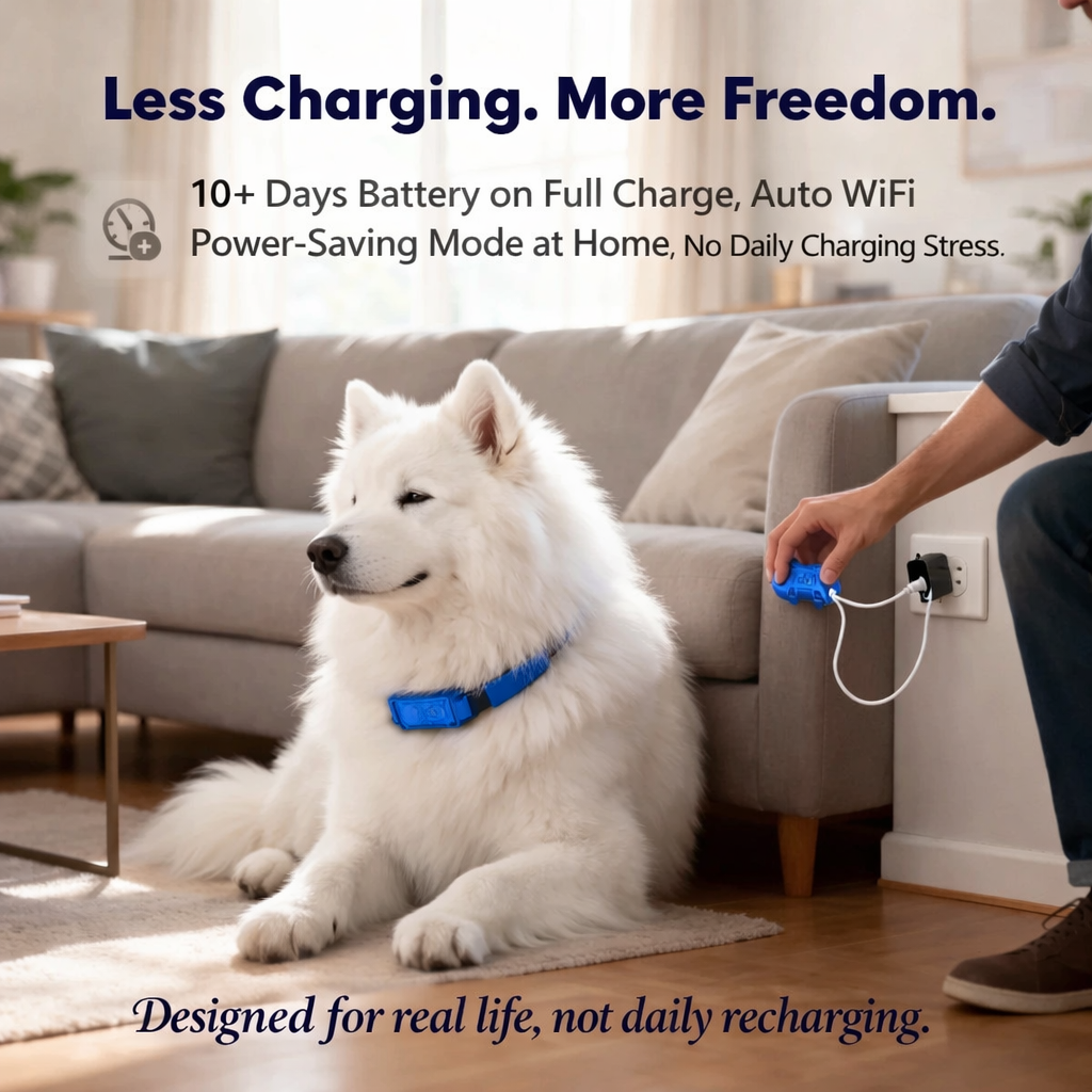 GPS Pet Tracker For Dogs Cats With Unlimited Distance Tracking