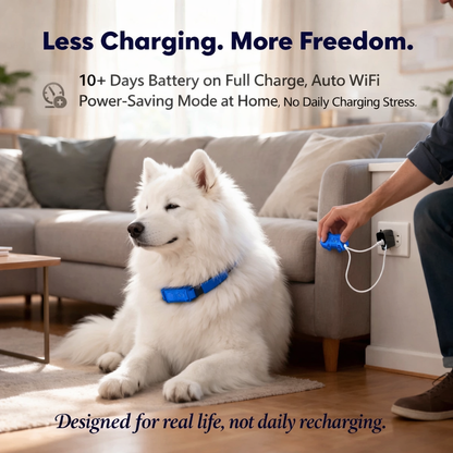 GPS Pet Tracker For Dogs Cats With Unlimited Distance Tracking