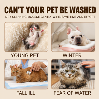 Pet Dry Shampoo Gentle Odor Neutralizing No Rinse For Puppies