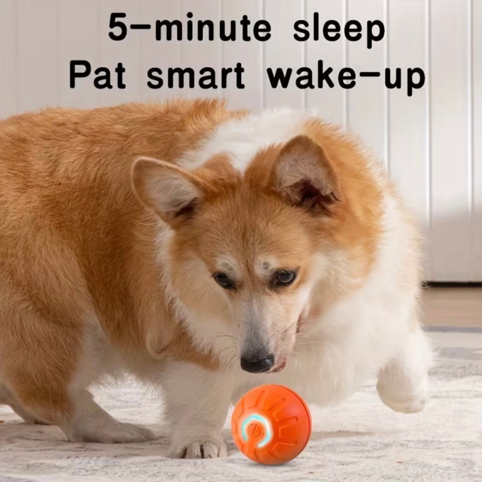 Smart Electric Ball Dog Toy With USB Charging And Gravity Jump