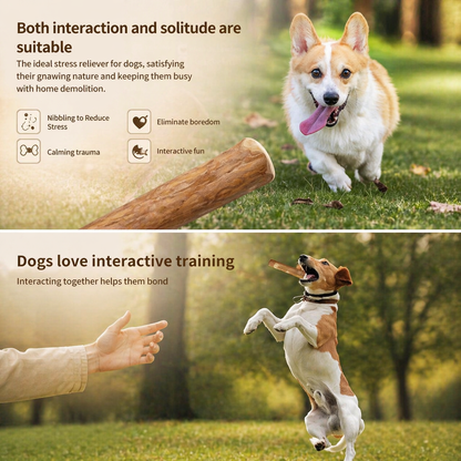 Coffee Wood Dog Chew Toy - Natural Wooden Stick For Dogs