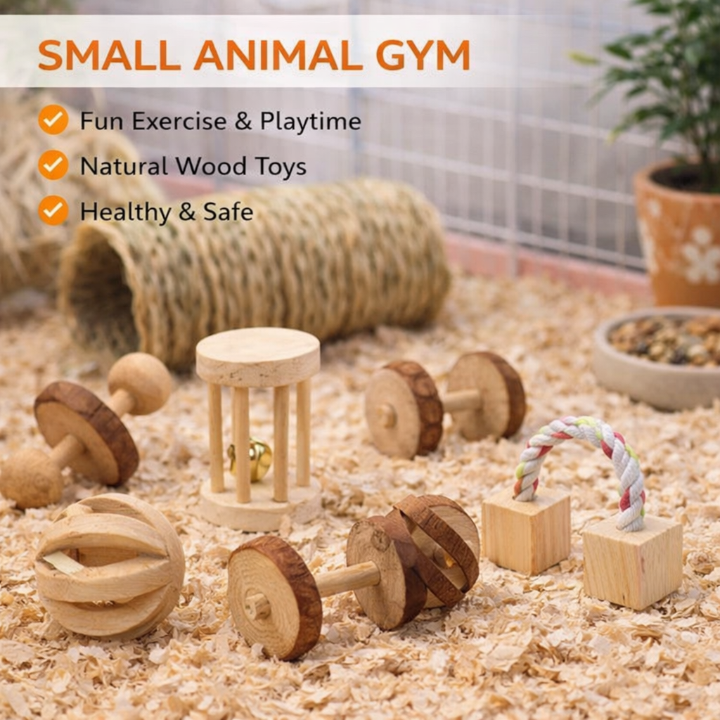 Guinea Pig Rabbit Hamster Small Animal Wooden Chew Toys Set