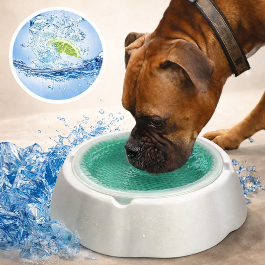 Cool Summer Pet Ice Bowl - Dog Cat Food Water Dish Cooling Plate