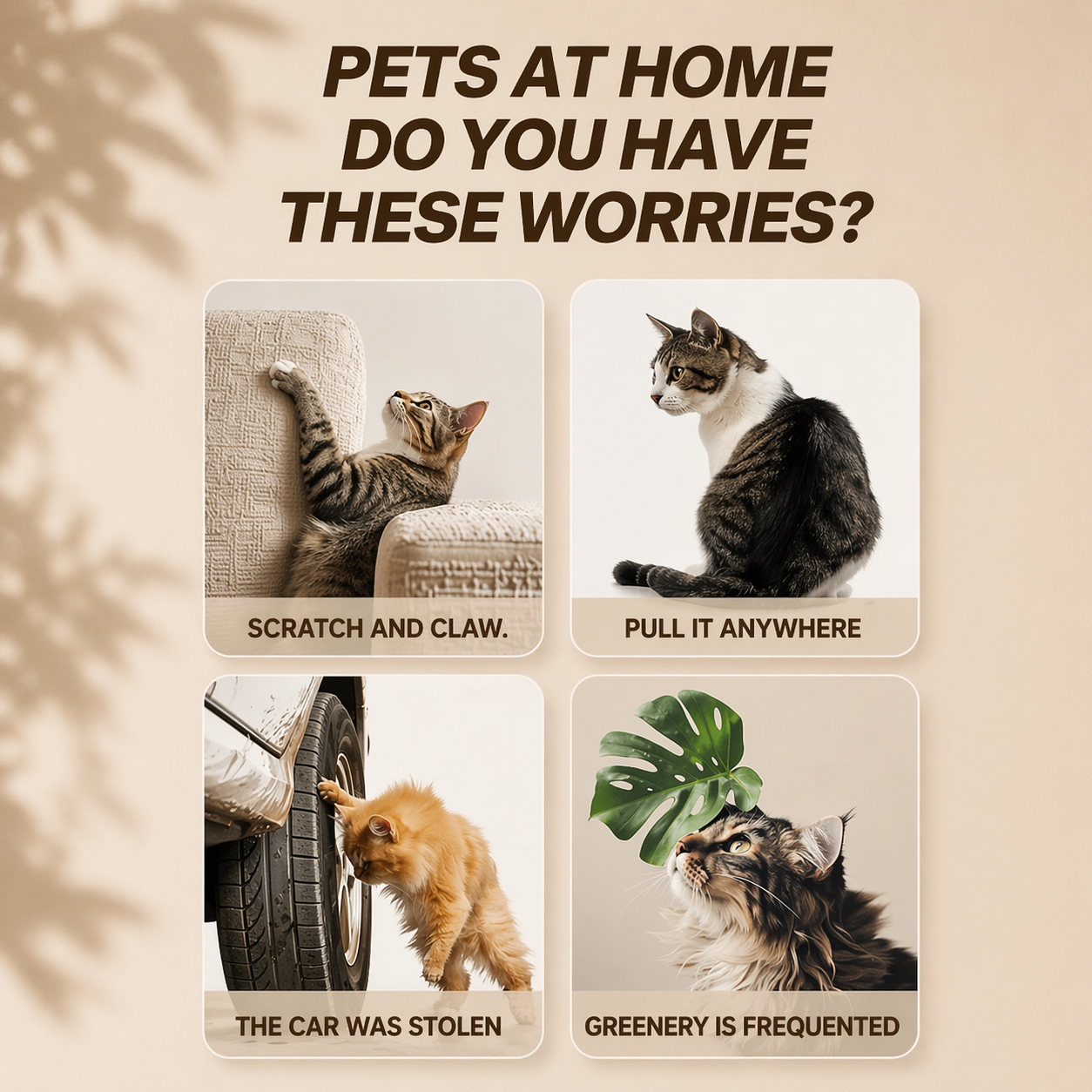 Long Lasting Cat Repellent Spray 120ml Non-Toxic Indoor Formula
