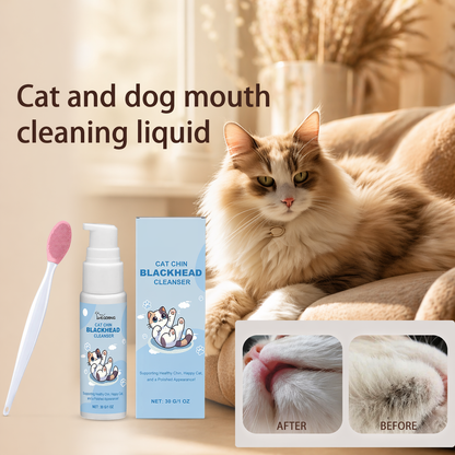 Pet Dental Care Kit For Dogs And Cats With Toothbrush And Solution