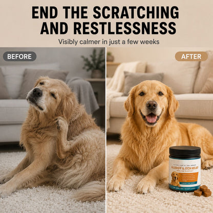 ScratchFree - No more 3 a.m. licking.