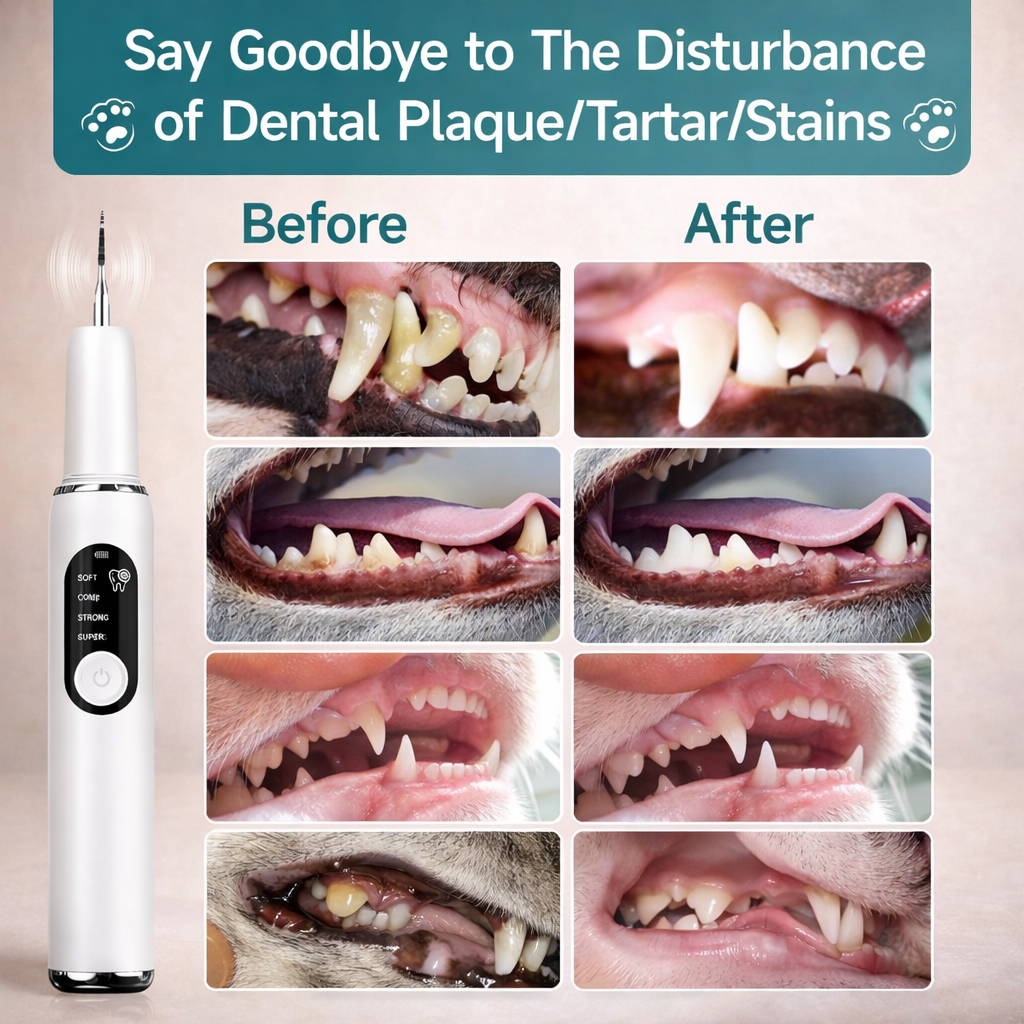 Ultrasonic Dog Tooth Cleaner With LED Light For Pet Dental Care
