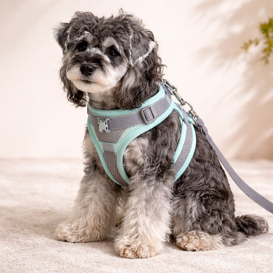 Dog Safety Harness Reflective Breathable Adjustable Pet Vest