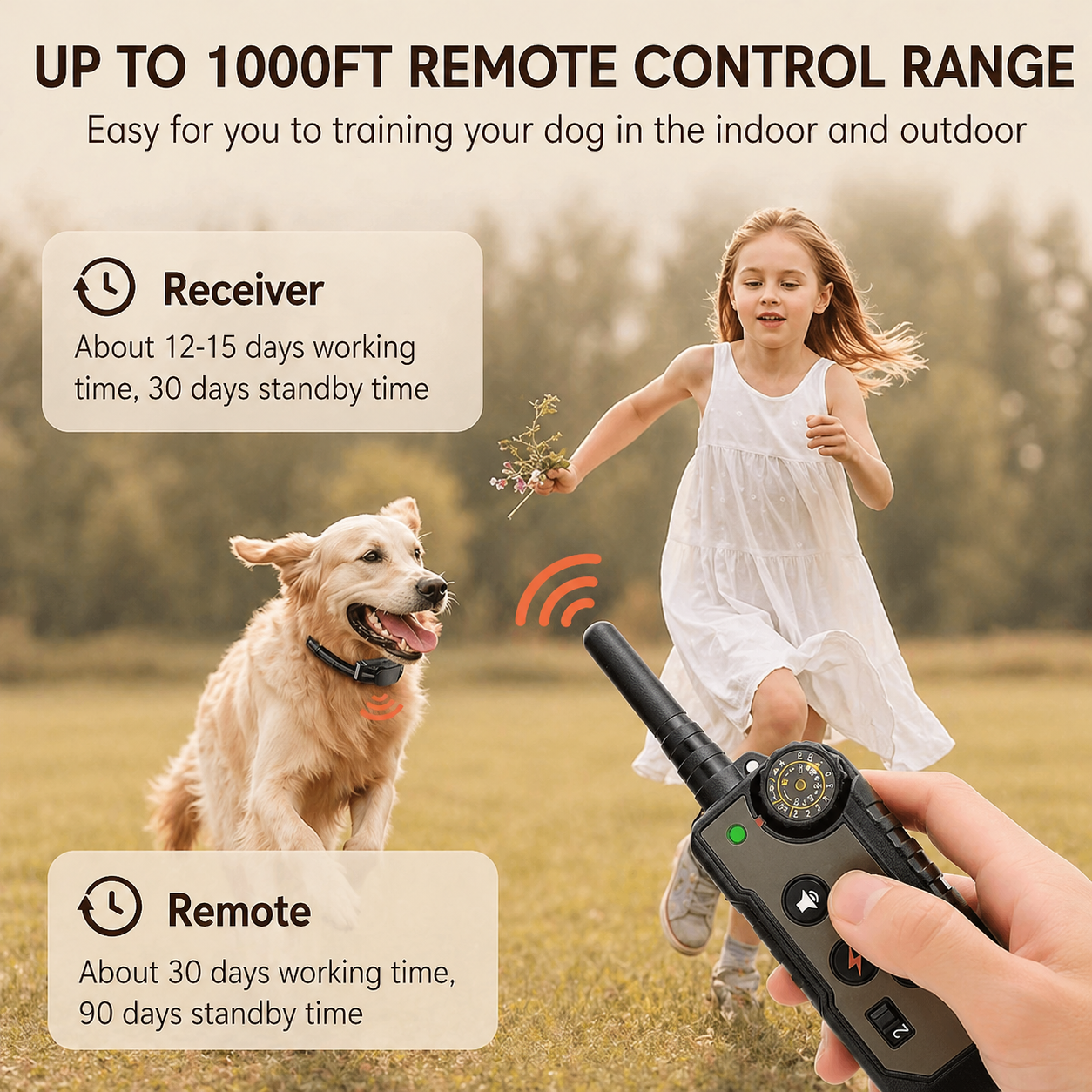 Electric Dog Training Collar With Remote Control Waterproof