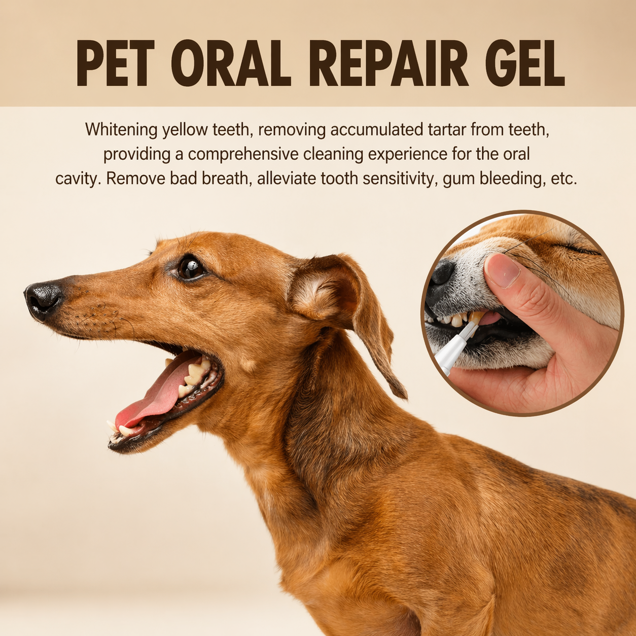 Pet Oral Repair Gel - Tartar Removal & Teeth Whitening For Dogs