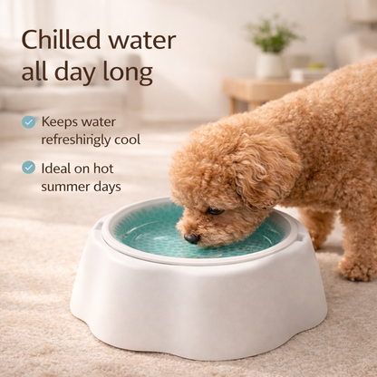 Cool Summer Pet Ice Bowl - Dog Cat Food Water Dish Cooling Plate