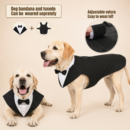 Large Dog Tuxedo Costume With Detachable Bow Tie For Weddings