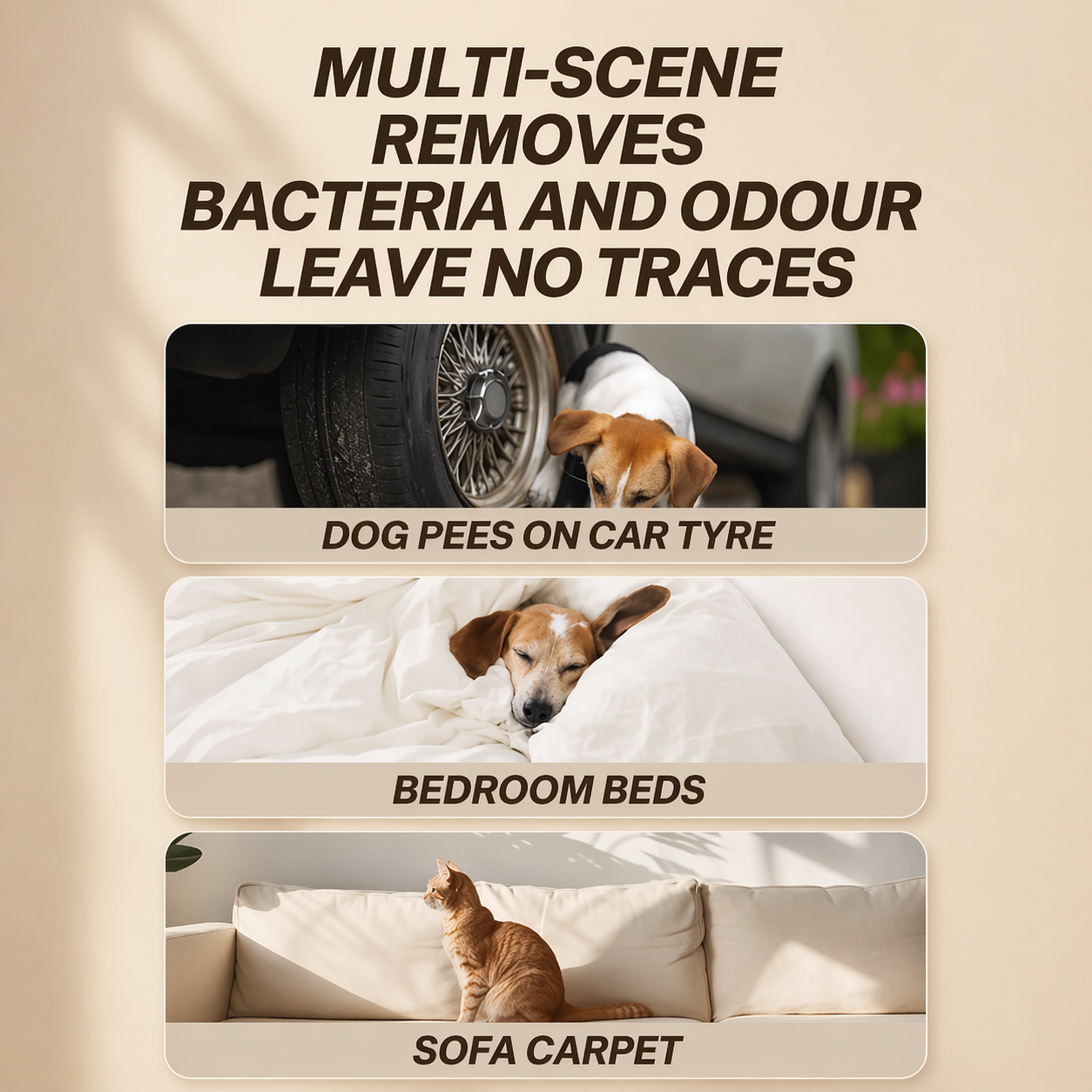 Long Lasting Cat Repellent Spray 120ml Non-Toxic Indoor Formula