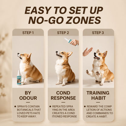 Long Lasting Cat Repellent Spray 120ml Non-Toxic Indoor Formula