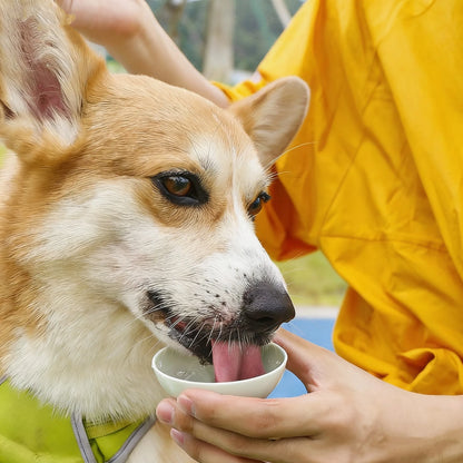 SuperDesign Portable Dog Water Dispenser For Travel And Outdoor