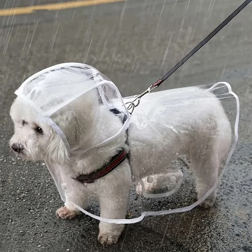 Transparent Waterproof Dog Raincoat For Small Medium Dogs