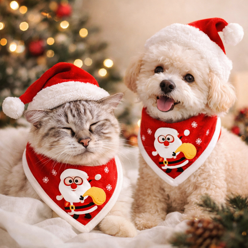 Christmas Pet Costume Santa Hat with Bandana Set for Cats Dogs