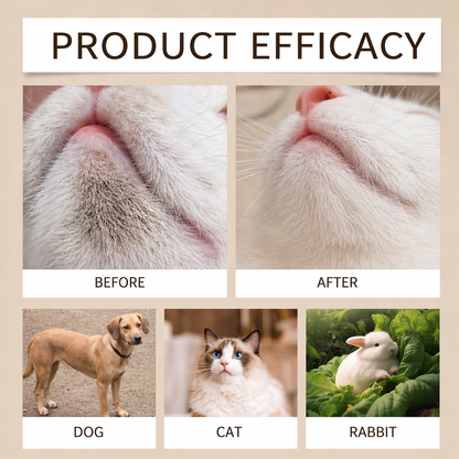 Pet Dental Care Kit For Dogs And Cats With Toothbrush And Solution