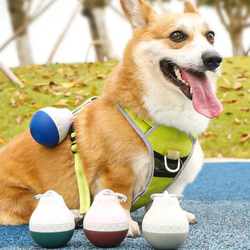 SuperDesign Portable Dog Water Dispenser For Travel And Outdoor
