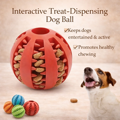 Dog Toy Ball - Nontoxic Bite Resistant Chew Ball For Dogs