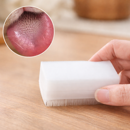 Cat Massage Brush Tongue Sensory Cleaning Tool For Cats And Dogs