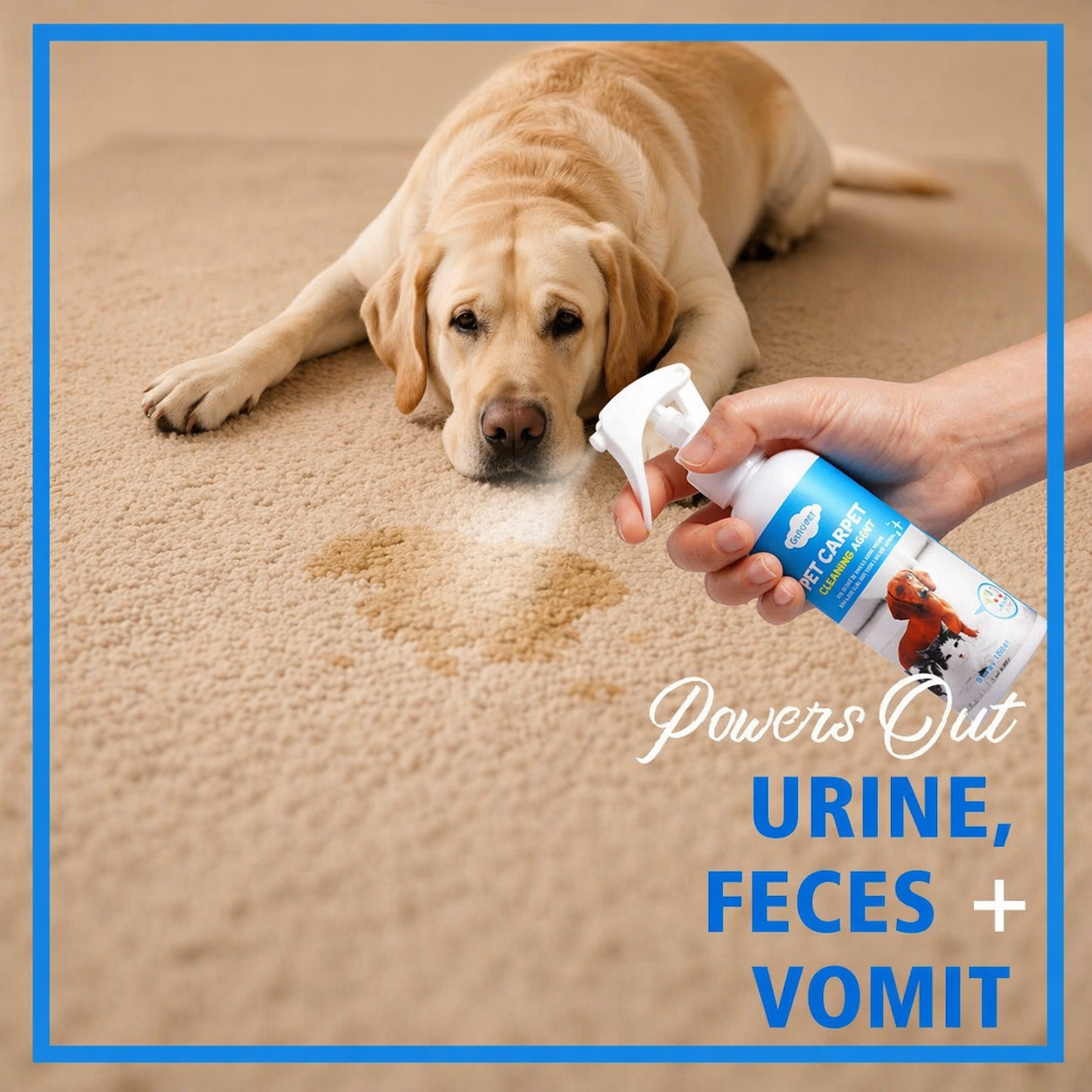 Pet Carpet Cleaner For Dogs And Cats - Urine Stain Odor Remover