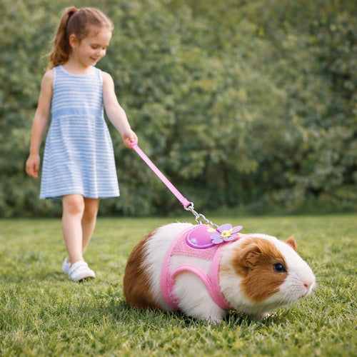 Small Pet Harness Leash Set For Guinea Pig Chinchilla Outdoor Walking