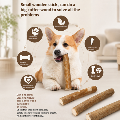 Coffee Wood Dog Chew Toy - Natural Wooden Stick For Dogs