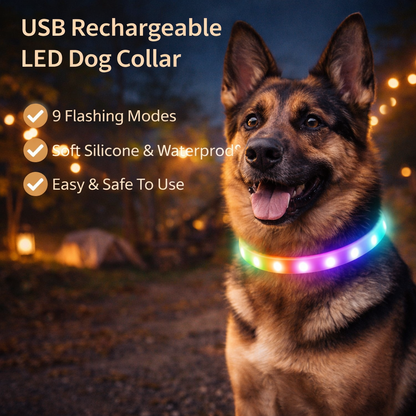 USB Rechargeable LED Dog Collar with 9 Flashing Modes