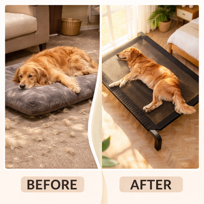 Military Style Foldable Dog Bed - Elevated Camp Bed For All Sizes