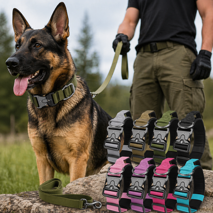Tactical Dog Collar and Leash Set for Large Dogs - Durable Training