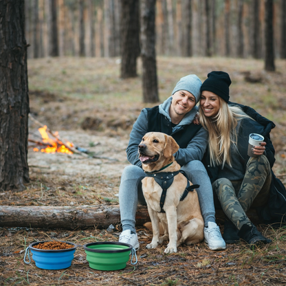 Foldable Silicone Travel Dog Bowl With Hooks For Outdoor Adventures