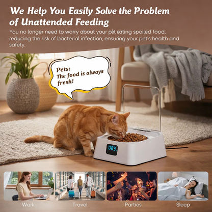 Automatic Cat Food Dispenser With 350ml Bowl For Cats And Dogs