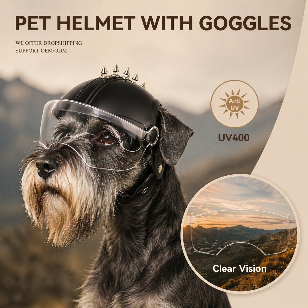 Dog Motorcycle Helmet With Clear Visor For Small Breeds