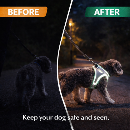 Dog Safety Harness Reflective Breathable Adjustable Pet Vest