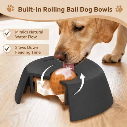 Anti-Choking Slow Feeder Dog Bowl Non-Slip 3/4 Cup Lick Toy