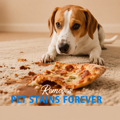 Pet Carpet Cleaner For Dogs And Cats - Urine Stain Odor Remover