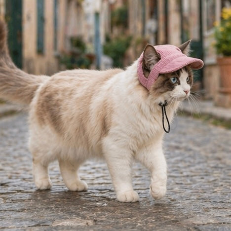 Cute Pet Hat Adjustable Breathable Cap With Ear Holes For Cats Dogs