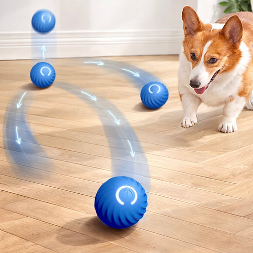 Smart Electric Ball Dog Toy With USB Charging And Gravity Jump